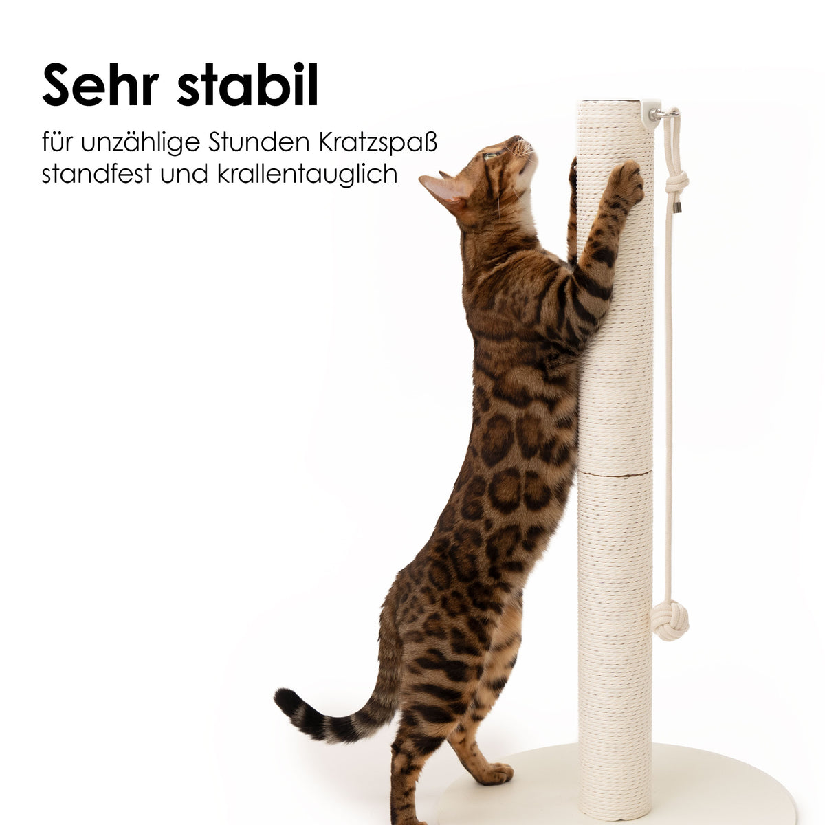Colonna tiragraffi PAPERPOLE – robusto palo tiragraffi avvolto in corda di carta, pallina inclusa.