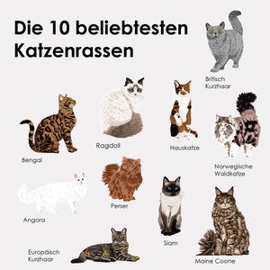 Adesivi in feltro STICKY CATS delle 10 razze di gatti più popolari