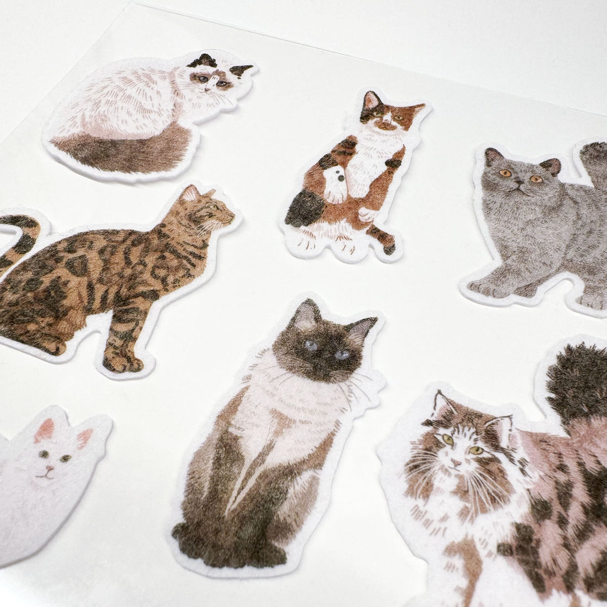 Set di adesivi in feltro STICKY CATS con 10 motivi di gatti