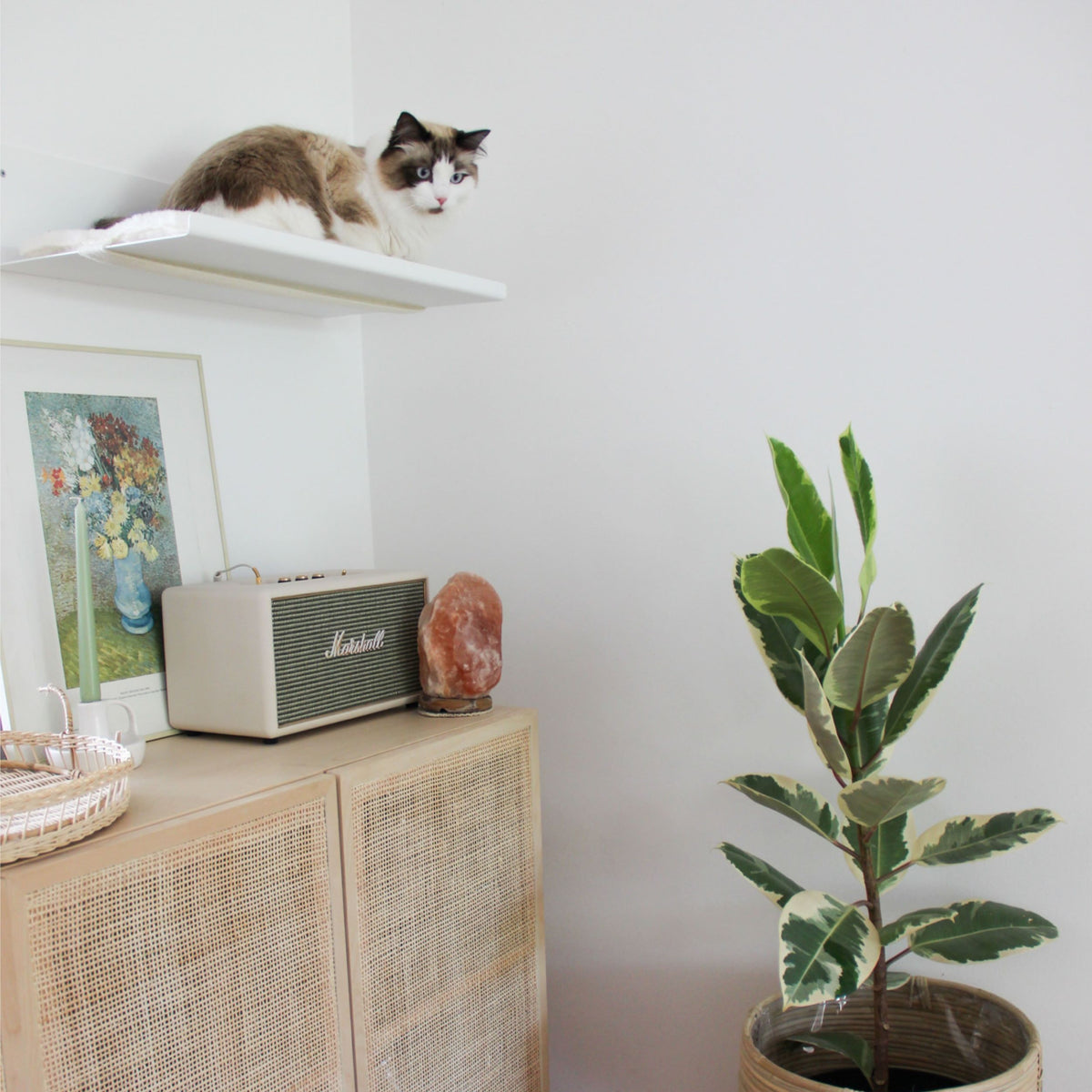 Mensola a parete STRAIGHT in bianco con gatto Ragdoll – salotto elegante con credenza.