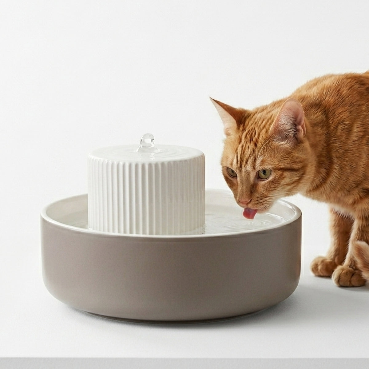 Fontanella per gatti in ceramica TREVI in taupe