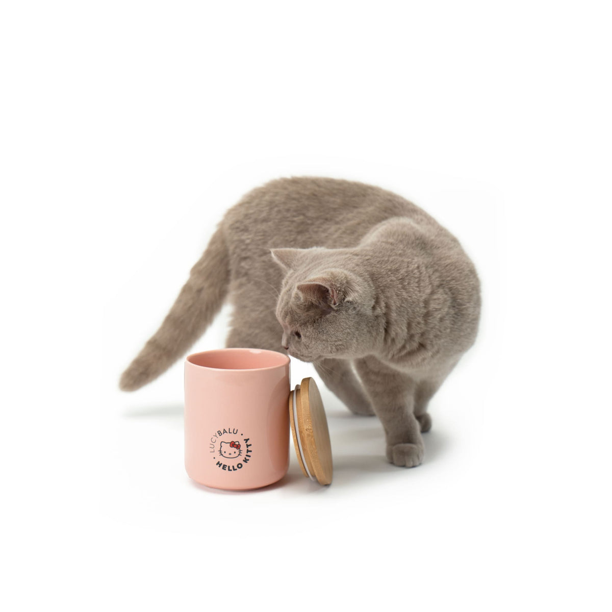 Katze schnuppert an geöffneter SNACK BAR Leckerlidose - Hello Kitty Edition