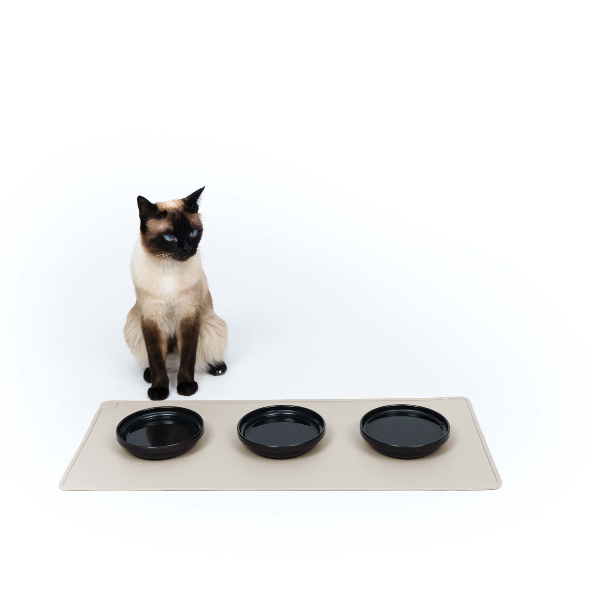 Tappetino sottociotola SQUARE in talpa con tre ciotole nere, gatto Siamese in piedi accanto
