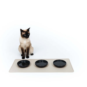 Tappetino sottociotola SQUARE in talpa con tre ciotole nere, gatto Siamese in piedi accanto
