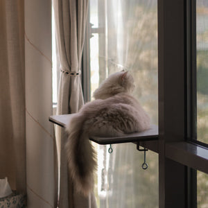 VIEW Fensterbankliege mit Filzauflage – langhaarige weiße Katze genießt den Blick aus dem Fenster.