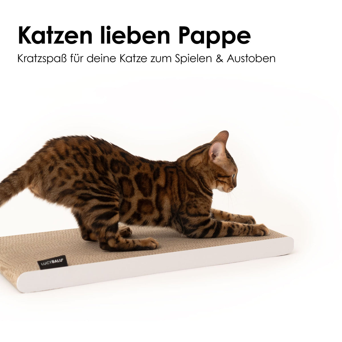Gatto gratta la tavola da grattare SCRATCHPAPER in cartone ondulato