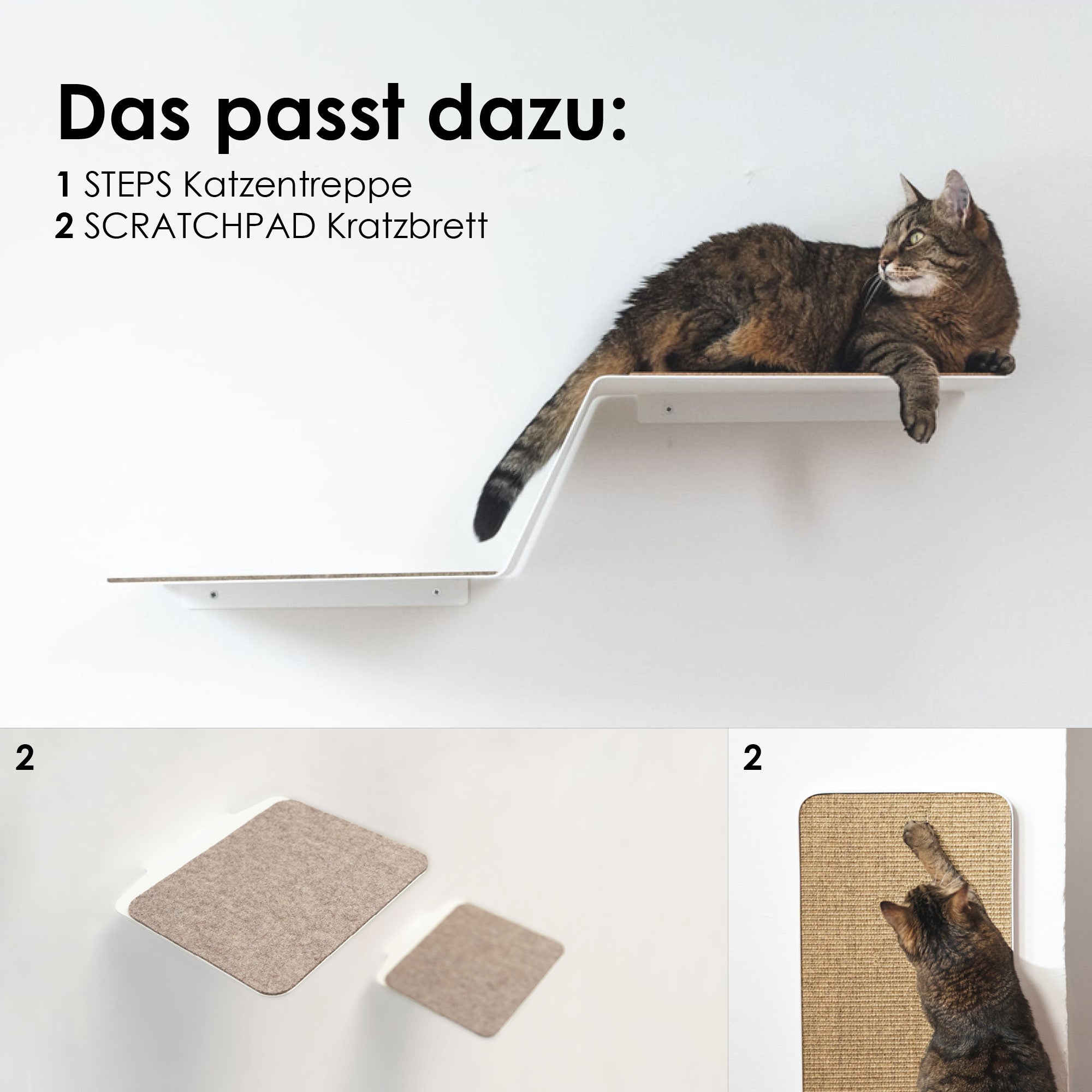 Design Katzen Kletter Wand mit Board