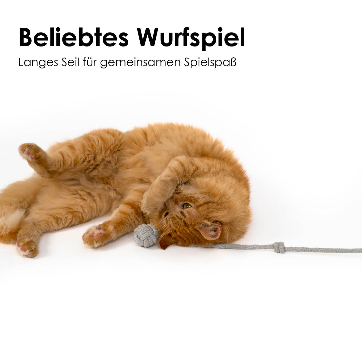 Gatto sdraiato gioca con il gioco da lancio KNOT BALLS grigio sulla lunga corda