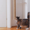Katzen Kratzstamm modern