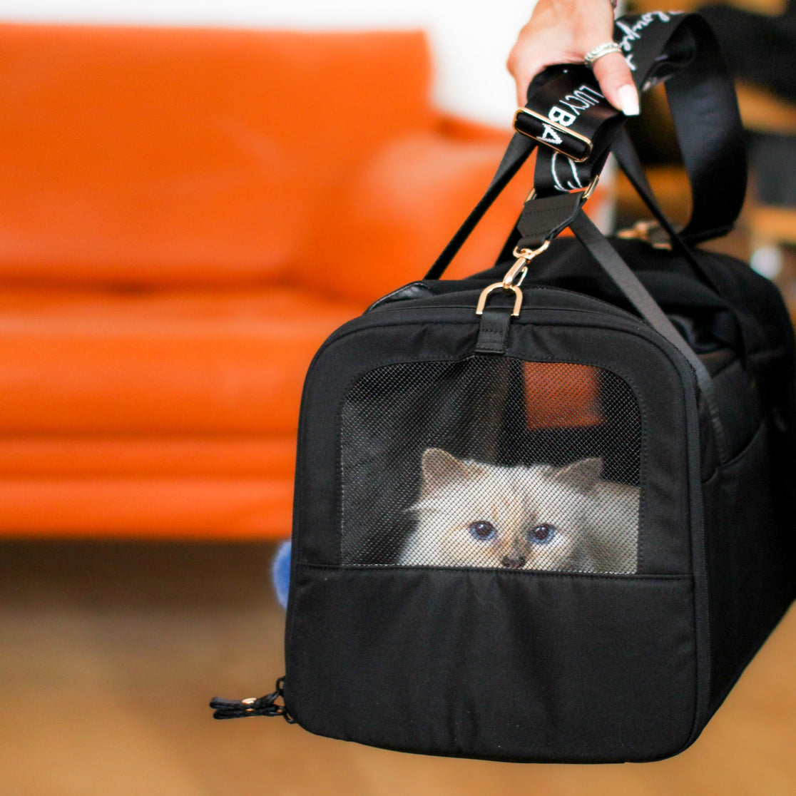 Weiße Langhaarkatze schaut aus Netzfenster der CHECK-IN Transporttasche Choupette Edition vor orangem Sofa