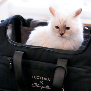 Ragdoll Katze schaut aus schwarzer CHECK-IN Transporttasche Choupette Edition mit LucyBalu x Choupette Logo