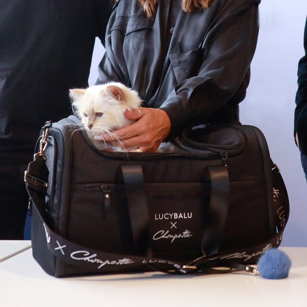 Weiße Langhaarkatze schaut aus schwarzer CHECK-IN Transporttasche Choupette Edition mit LucyBalu x Choupette Schriftzug