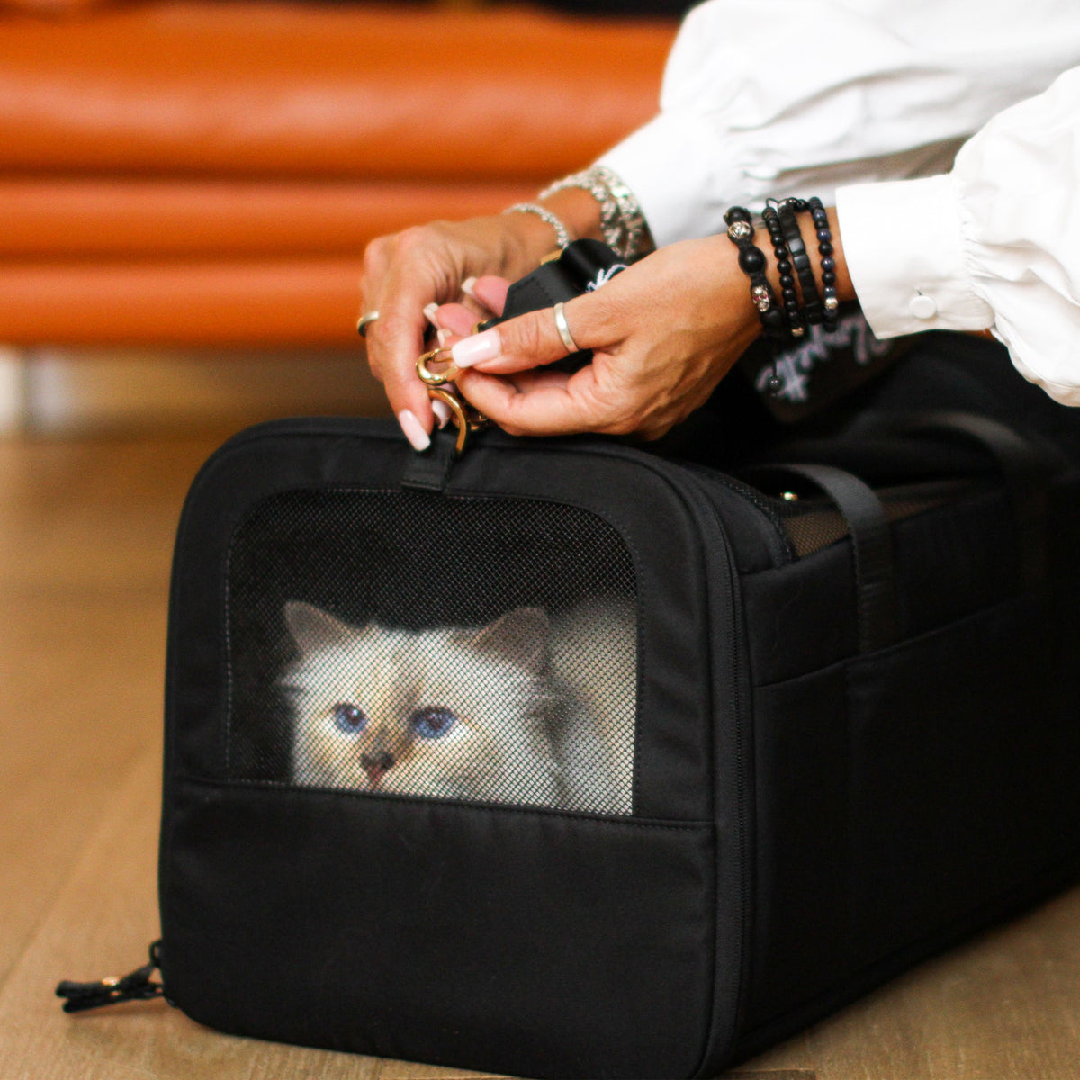 Hände öffnen schwarze CHECK-IN Transporttasche Choupette Edition mit Katze darin vor orangem Sofa