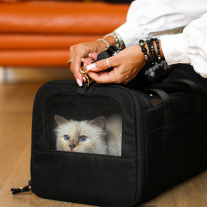 Hände öffnen schwarze CHECK-IN Transporttasche Choupette Edition mit Katze darin vor orangem Sofa