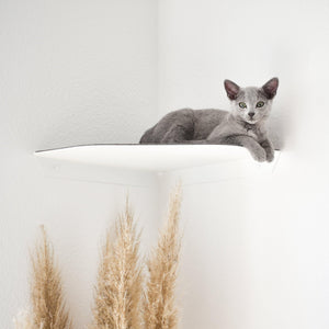 Un chat gris allongé dans le coin sur l'étagère murale CORNER blanche