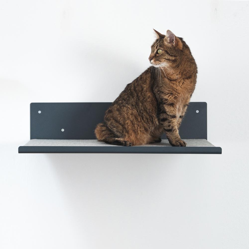 Getigerte Katze sitzt auf der grauen FELTY Filzauflage auf der STRAIGHT Wandliege