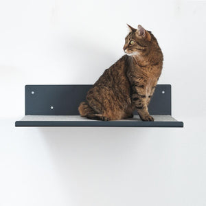 Getigerte Katze sitzt auf der grauen FELTY Filzauflage auf der STRAIGHT Wandliege