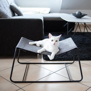 Weiße Katze liegt auf der grauen FLOAT Hängematte im gemütlichen Wohnzimmer