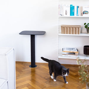 Katze läuft neben anthrazitfarbenem GALLERY Wandkratzbaum mit 100 cm Kratzstamm