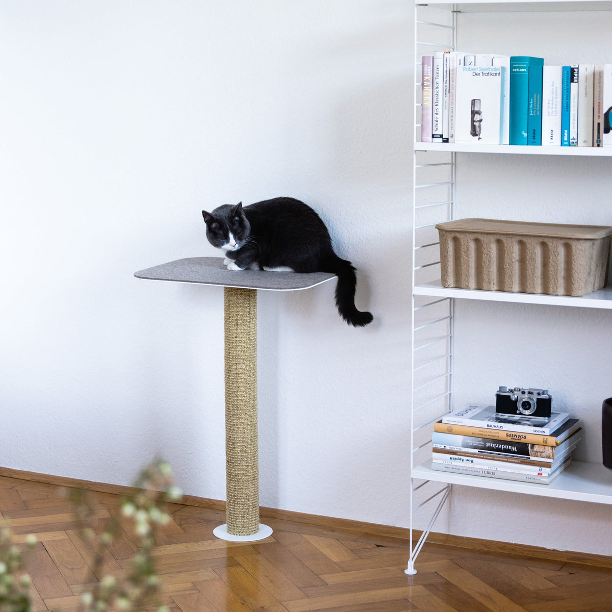 Katze liegt auf weißem GALLERY Wandkratzbaum mit 70 cm Sisalstamm