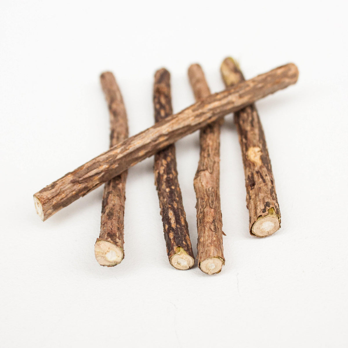 MATATABI STICKS : 6 bâtonnets en bois de matatabi non traité pour le soin dentaire naturel des chats