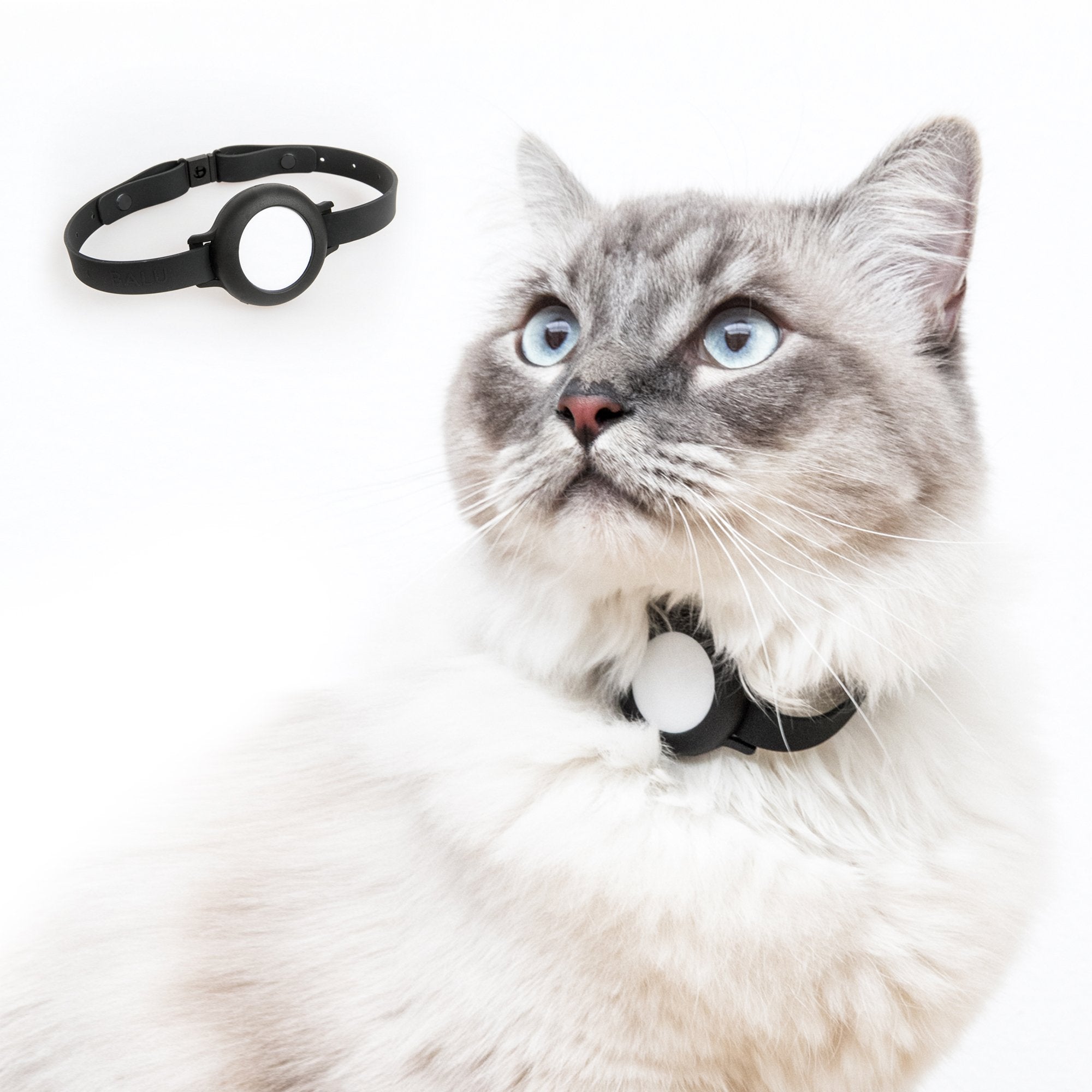 Croc-Cat® Collier Chat, Accessoire Compatible avec airtag Apple