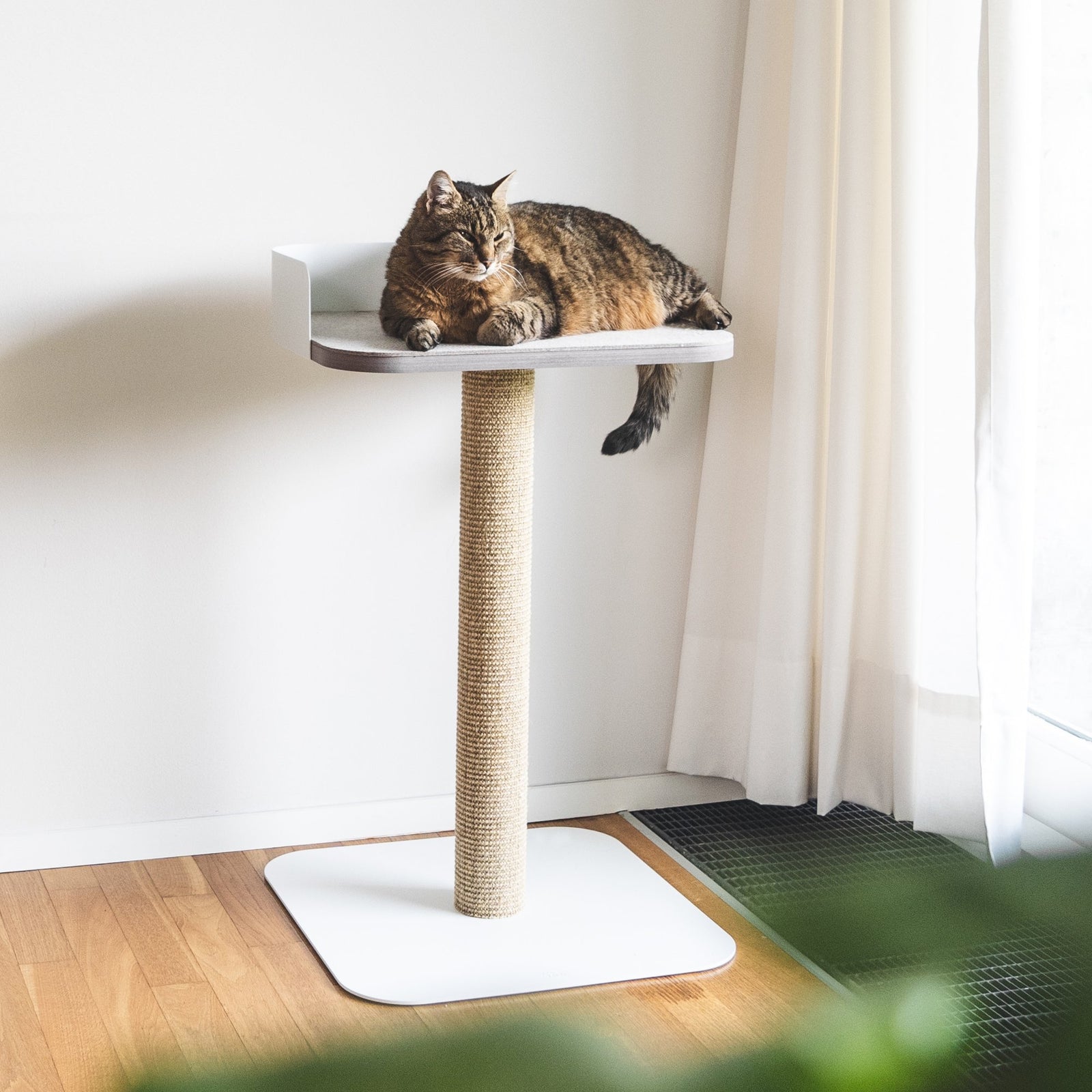 PLATEAU Kratzbaum in Weiß, getigerte Katze liegt entspannt auf der Liegefläche am Fenster