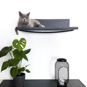 Mensola a parete STRAIGHT in antracite con cuscino in lana COSY – gatto sdraiato su una parete di soggiorno elegante.